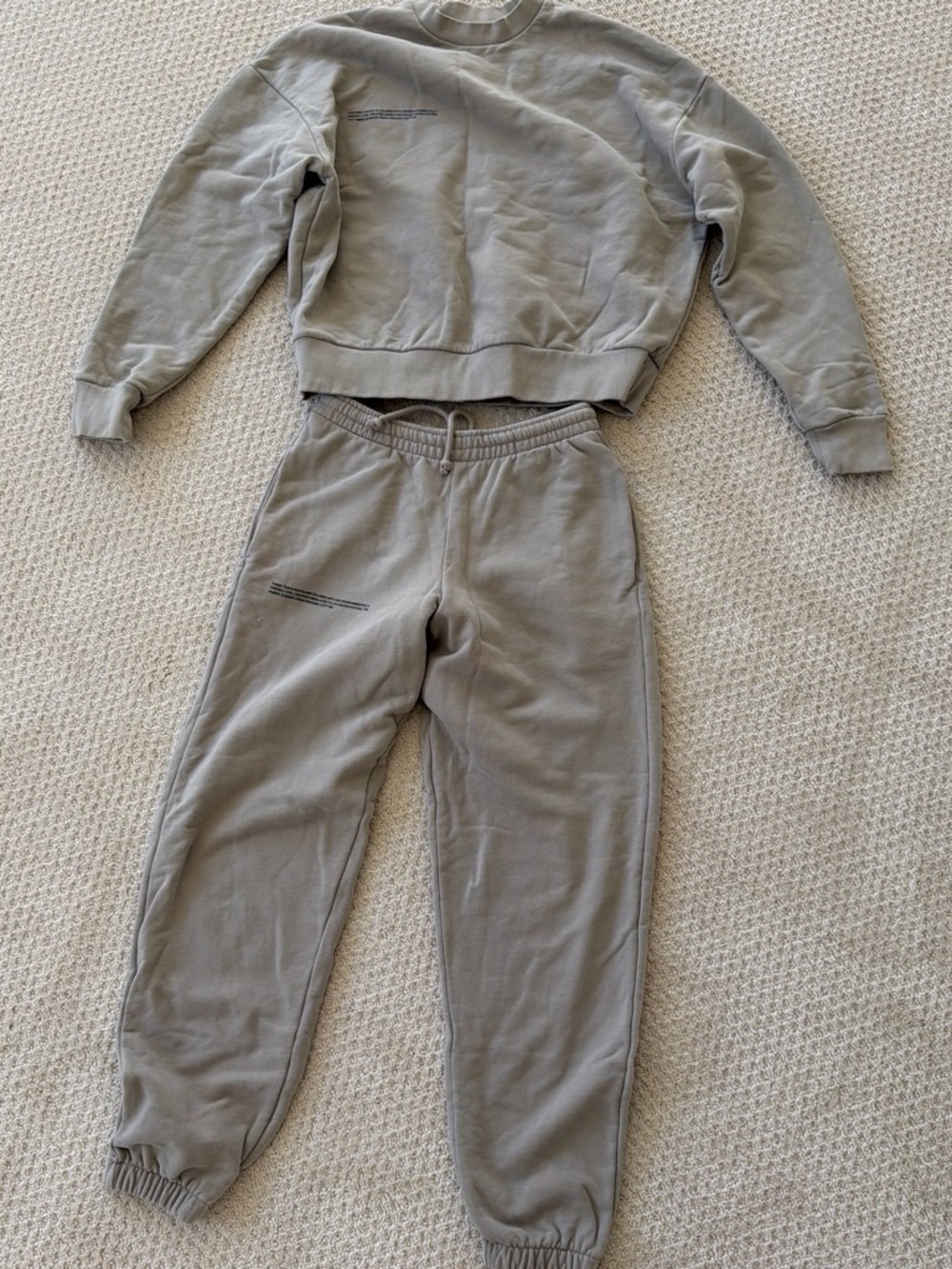 Pangaia Gray Drawstring Hoodie and Joggers set